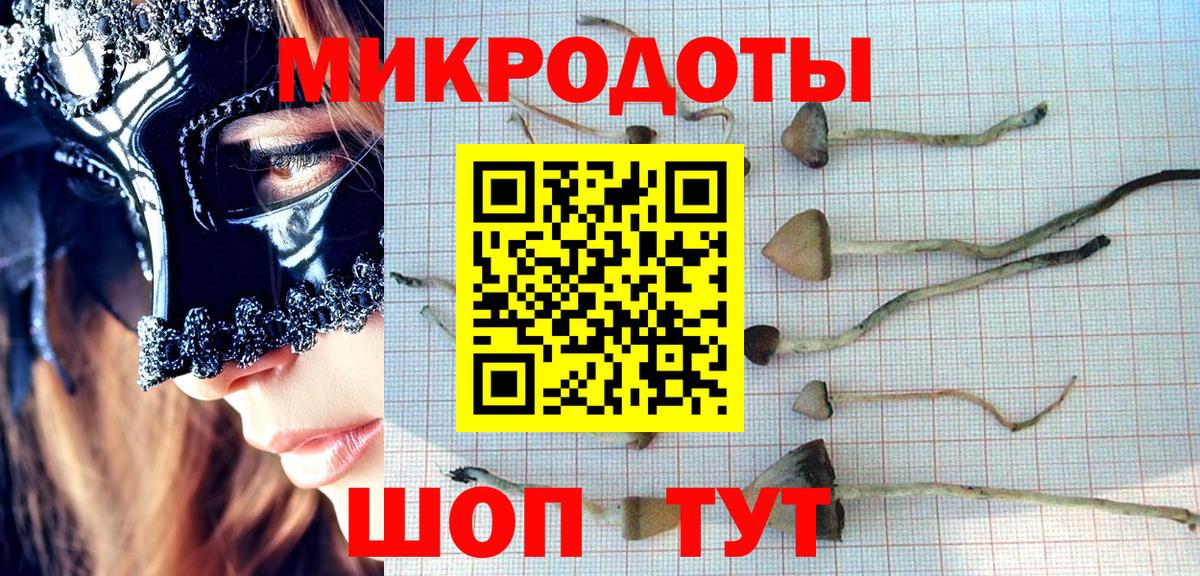 Псилоцибиновые грибы мицелий  Вход с VPN  Южноуральск 
