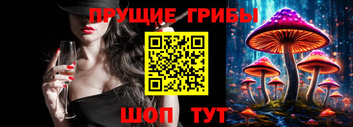 Галлюциногенные грибы Psilocybe Южноуральск
